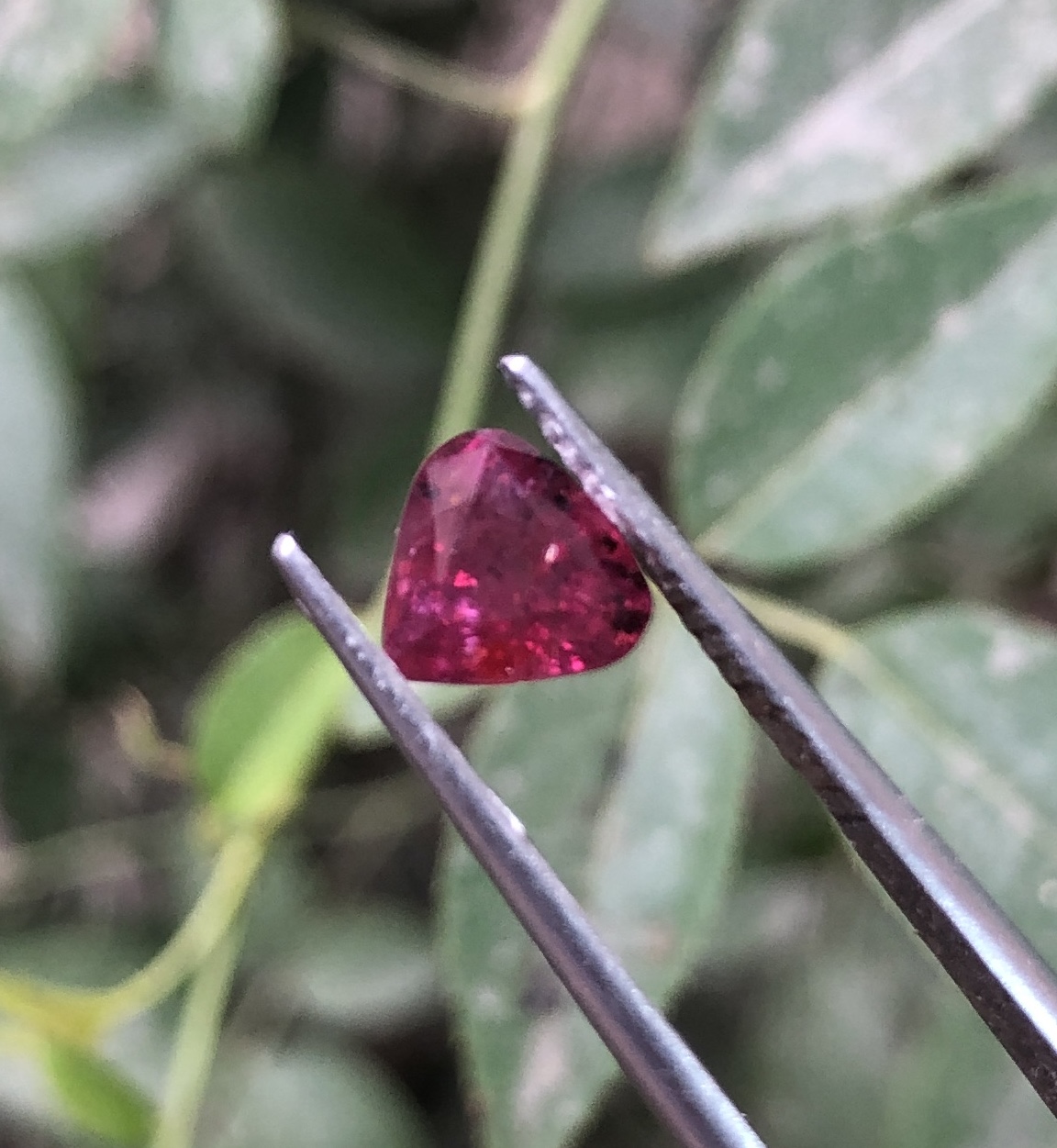 Natural Heart Shape ruby 1.4 caret from Mozambique unheated view 2