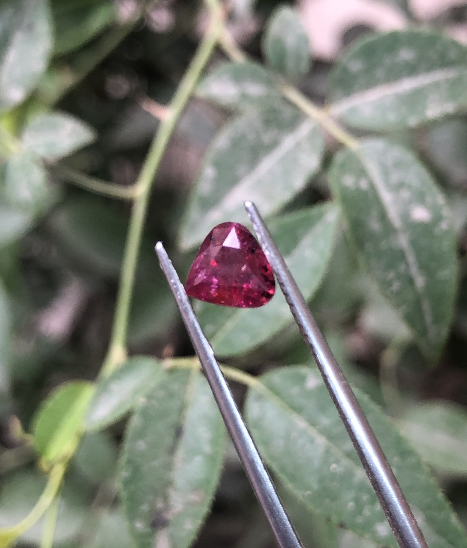 Natural Heart Shape ruby 1.4 caret from Mozambique unheated view 4