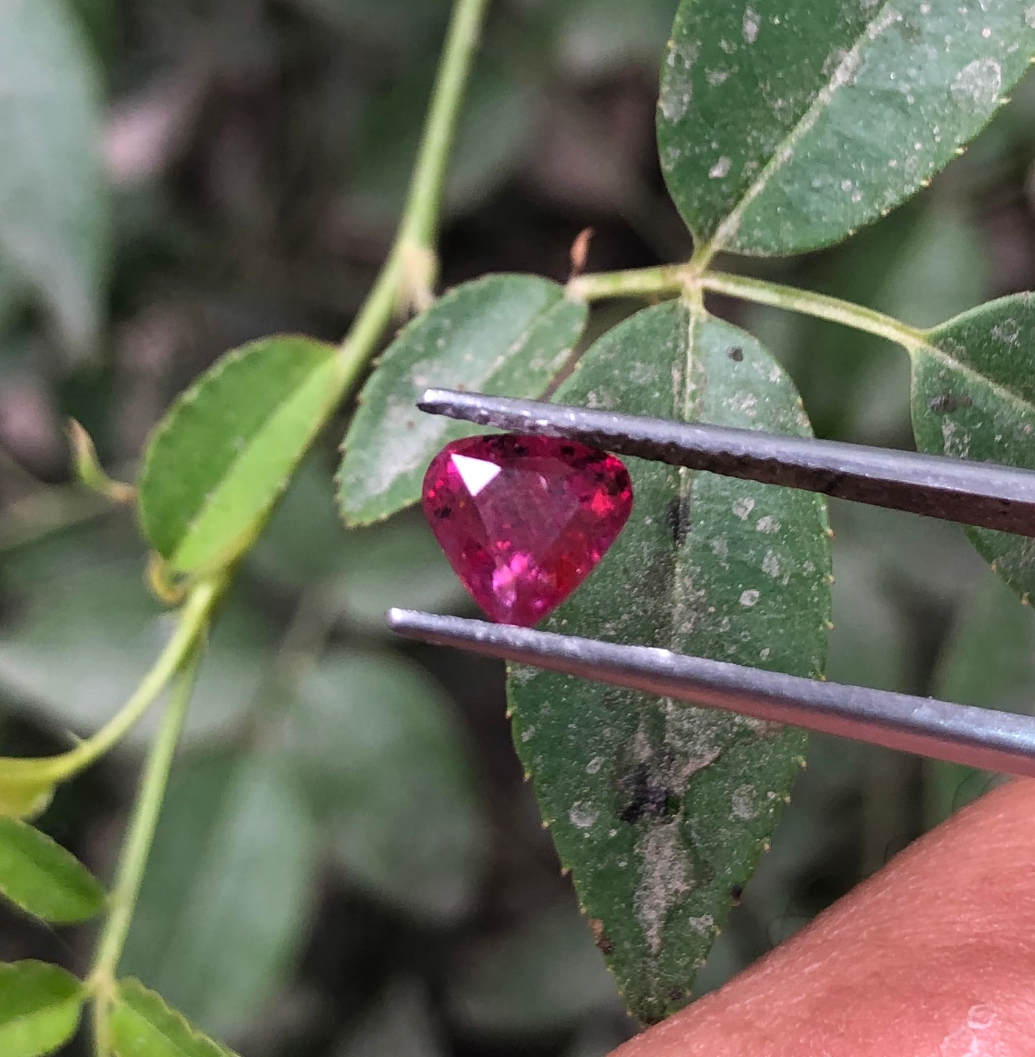 Natural Heart Shape ruby 1.4 caret from Mozambique unheated